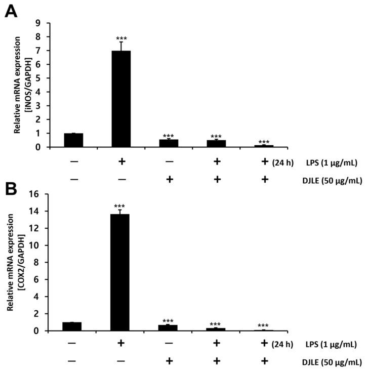 https://cdn.ncbi.nlm.nih.gov/pmc/blobs/9ad2/9032301/22f2b13dd997/pharmaceuticals-15-00387-g006.jpg