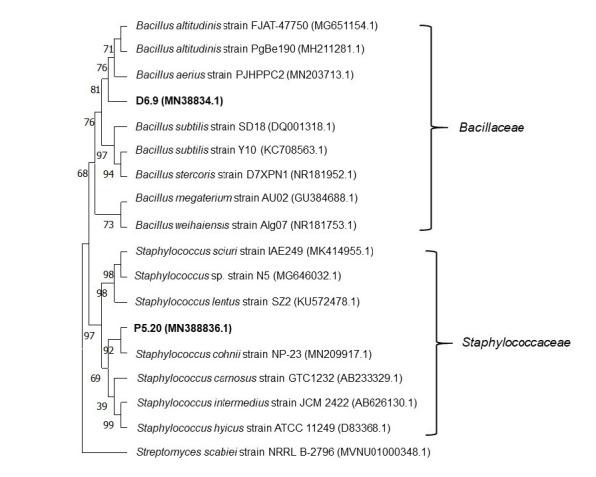 https://cdn.ncbi.nlm.nih.gov/pmc/blobs/9ad5/10735267/b927097b9508/TLSR-34-2-299-g003.jpg