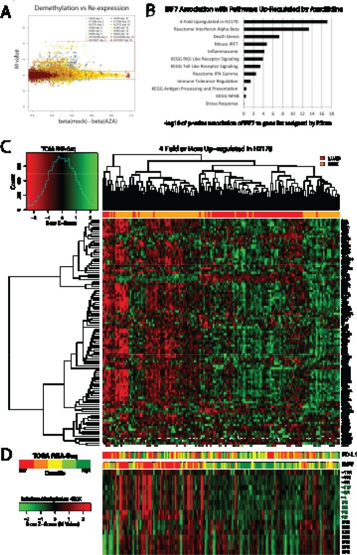 https://cdn.ncbi.nlm.nih.gov/pmc/blobs/9ad7/3875770/74f52e66bff6/oncotarget-04-2067-g003.jpg