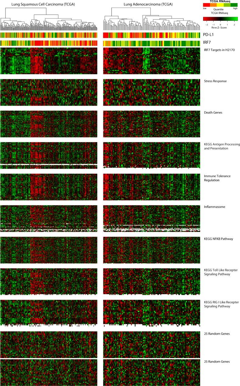 https://cdn.ncbi.nlm.nih.gov/pmc/blobs/9ad7/3875770/a905430b1a30/oncotarget-04-2067-g004.jpg