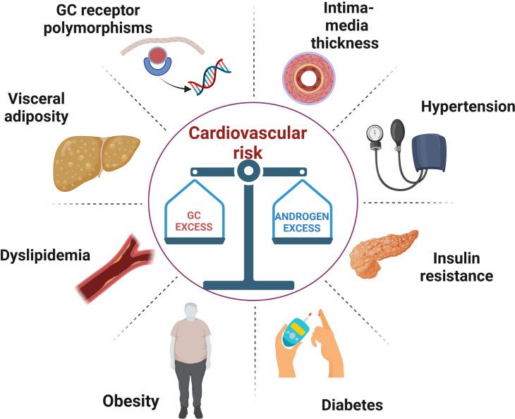 https://cdn.ncbi.nlm.nih.gov/pmc/blobs/9ad9/9376294/5e382342fdce/fendo-13-934675-g001.jpg