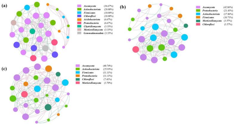 https://cdn.ncbi.nlm.nih.gov/pmc/blobs/9adb/10443276/fede0cf45ad2/jox-13-00027-g004.jpg