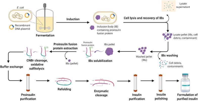 https://cdn.ncbi.nlm.nih.gov/pmc/blobs/9adb/10992477/53121f3ccf9d/40643_2021_419_Fig1_HTML.jpg