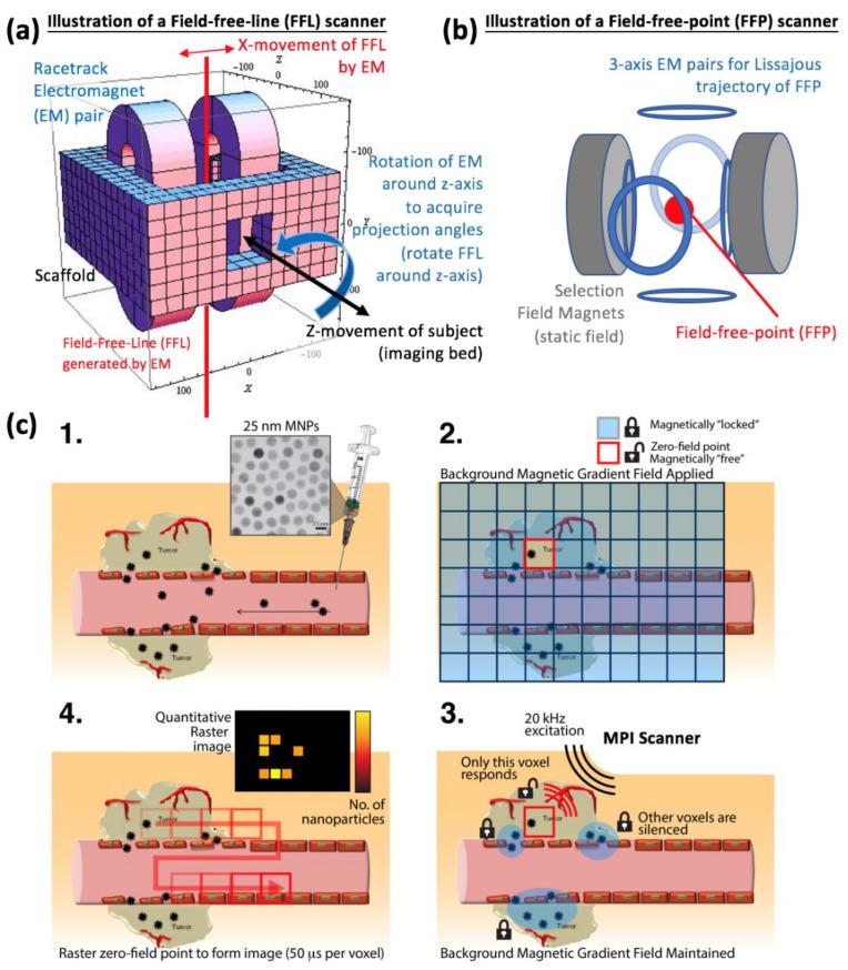 https://cdn.ncbi.nlm.nih.gov/pmc/blobs/9adb/8582440/1b65b47f7910/cancers-13-05285-g002.jpg