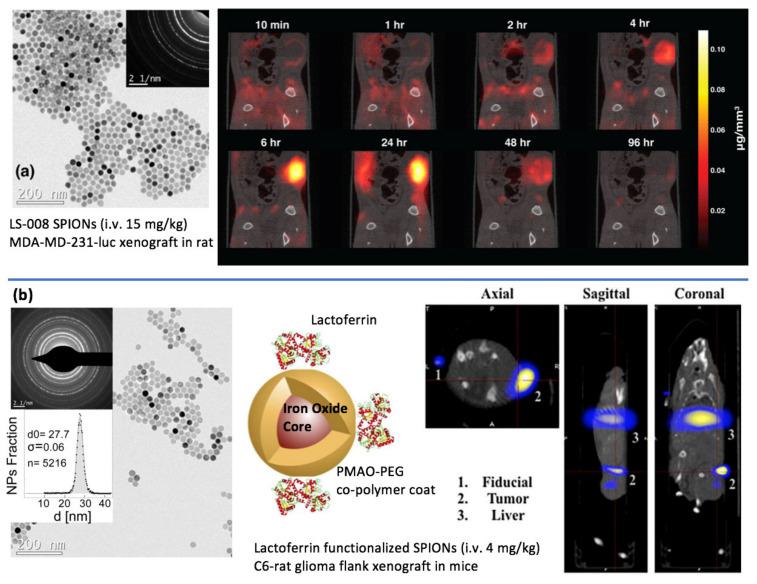 https://cdn.ncbi.nlm.nih.gov/pmc/blobs/9adb/8582440/5636bb1e52cc/cancers-13-05285-g004.jpg
