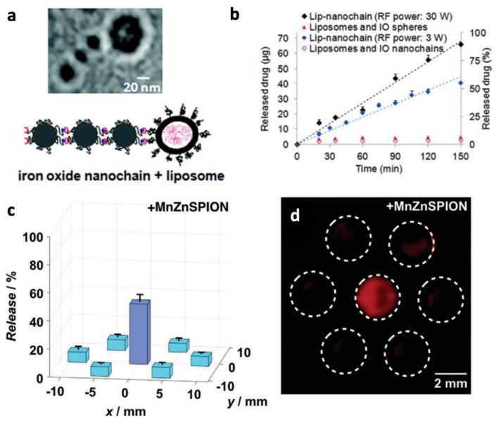 https://cdn.ncbi.nlm.nih.gov/pmc/blobs/9adb/8582440/8140af207c47/cancers-13-05285-g008.jpg
