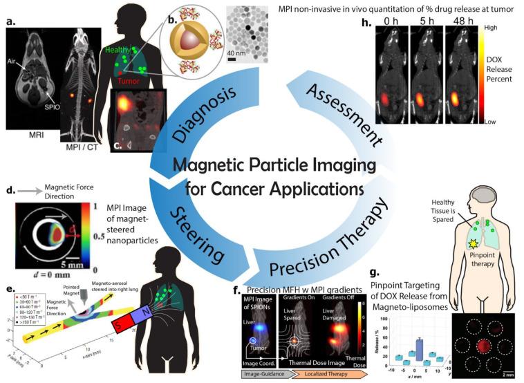 https://cdn.ncbi.nlm.nih.gov/pmc/blobs/9adb/8582440/cd6ad8fa6e86/cancers-13-05285-g001.jpg