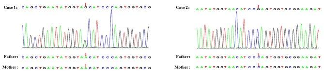 https://cdn.ncbi.nlm.nih.gov/pmc/blobs/9adc/7249804/24b0e09d4dcb/fped-08-00269-g0001.jpg
