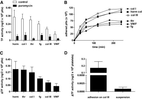 https://cdn.ncbi.nlm.nih.gov/pmc/blobs/9add/2874710/a034c5dca929/zdb0061061280002.jpg