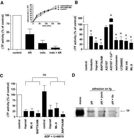 https://cdn.ncbi.nlm.nih.gov/pmc/blobs/9add/2874710/d1045079049c/zdb0061061280003.jpg
