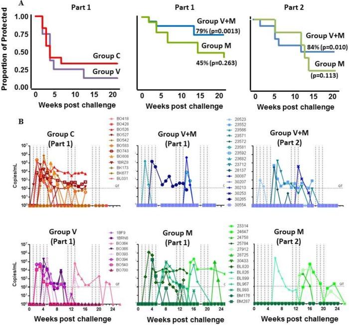 https://cdn.ncbi.nlm.nih.gov/pmc/blobs/9ade/4934744/02f0ef81fb0a/zjv9991816650005.jpg