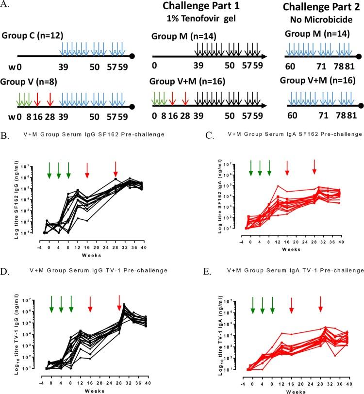 https://cdn.ncbi.nlm.nih.gov/pmc/blobs/9ade/4934744/0ad6a10f2702/zjv9991816650001.jpg