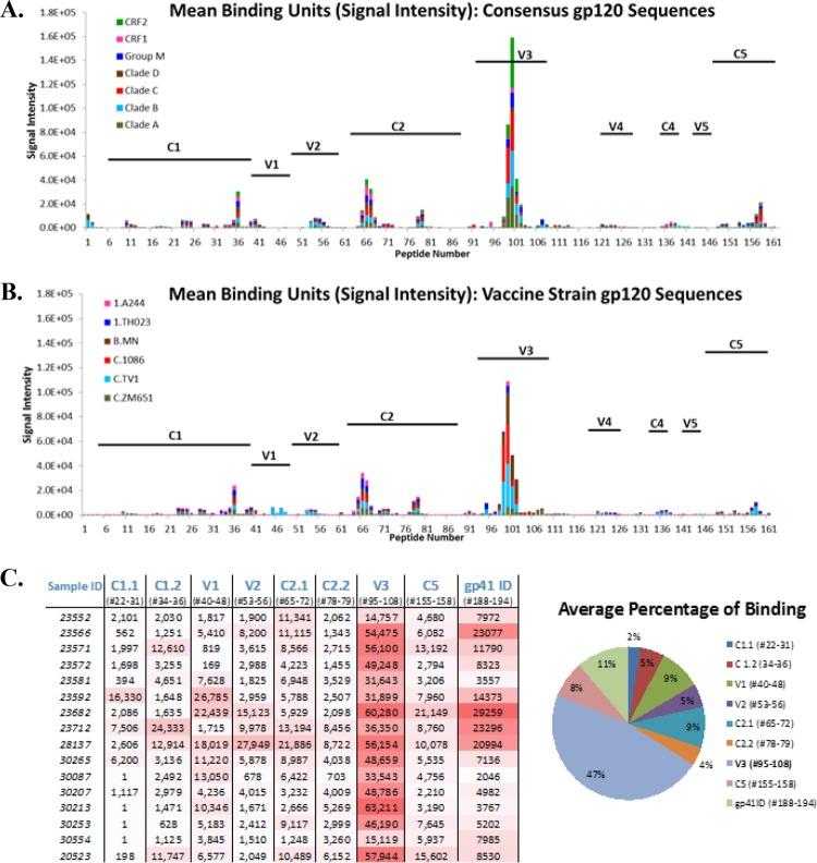 https://cdn.ncbi.nlm.nih.gov/pmc/blobs/9ade/4934744/53c0c8924308/zjv9991816650003.jpg