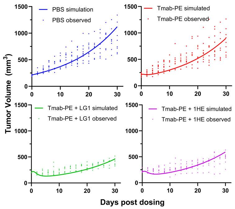 https://cdn.ncbi.nlm.nih.gov/pmc/blobs/9adf/12071152/a00ddbc60e87/cancers-17-01468-g008.jpg