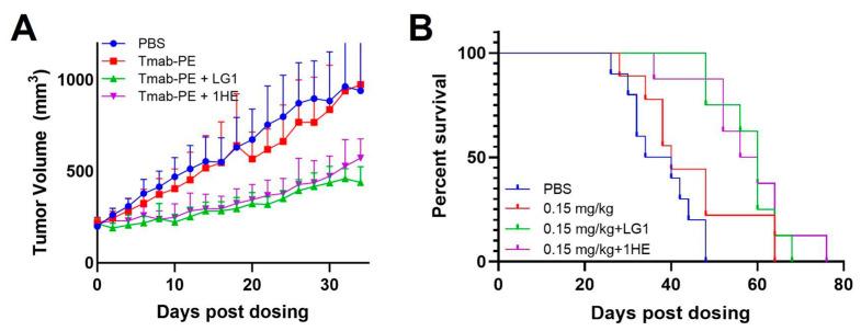 https://cdn.ncbi.nlm.nih.gov/pmc/blobs/9adf/12071152/aeabbad7d022/cancers-17-01468-g007.jpg
