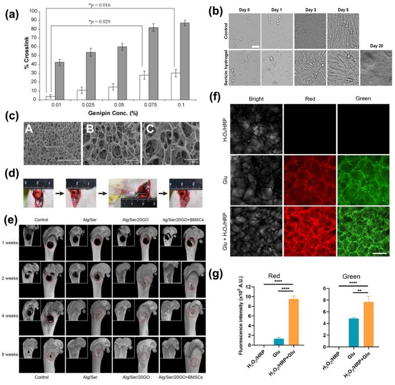 https://cdn.ncbi.nlm.nih.gov/pmc/blobs/9adf/12108825/e36002372d17/bioengineering-12-00547-g008.jpg
