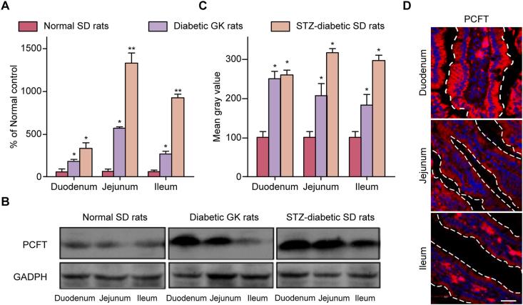 https://cdn.ncbi.nlm.nih.gov/pmc/blobs/9adf/9072239/68518d424821/gr1.jpg
