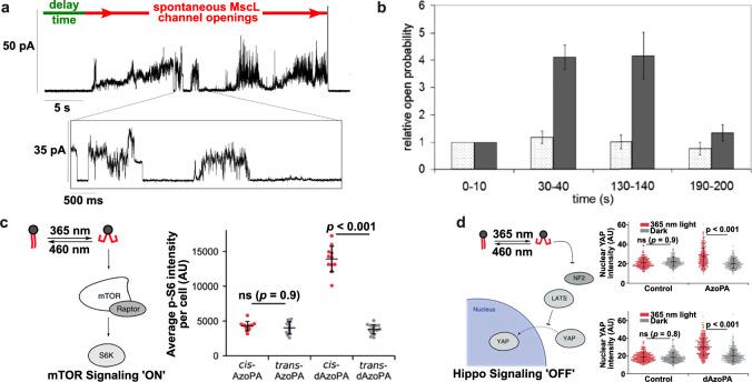 https://cdn.ncbi.nlm.nih.gov/pmc/blobs/9ae1/11961368/1460b520fda4/43246_2025_773_Fig6_HTML.jpg