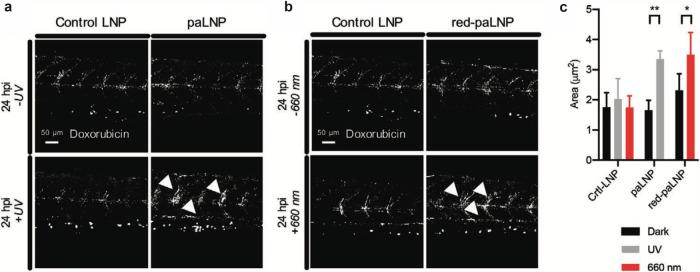 https://cdn.ncbi.nlm.nih.gov/pmc/blobs/9ae1/11961368/577a9c86acd2/43246_2025_773_Fig7_HTML.jpg