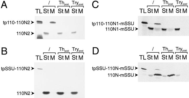 https://cdn.ncbi.nlm.nih.gov/pmc/blobs/9ae1/2132540/3dfceed4d19c/JCB.10932f5.jpg