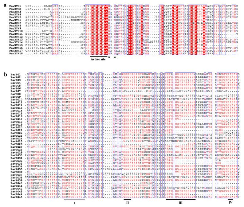 https://cdn.ncbi.nlm.nih.gov/pmc/blobs/9ae2/8621145/10198f124751/ijms-22-12331-g002.jpg