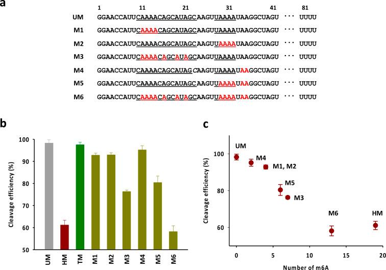 https://cdn.ncbi.nlm.nih.gov/pmc/blobs/9ae3/11209871/2ac4d7a980f3/d4ra03957b-f4.jpg