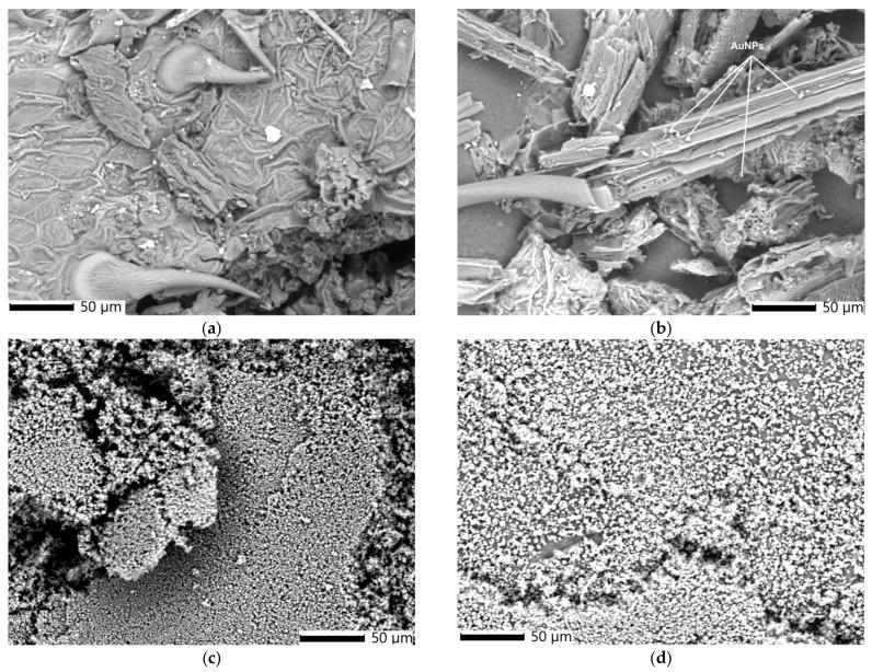https://cdn.ncbi.nlm.nih.gov/pmc/blobs/9ae3/11858835/0e3160d28a11/polymers-17-00482-g005.jpg