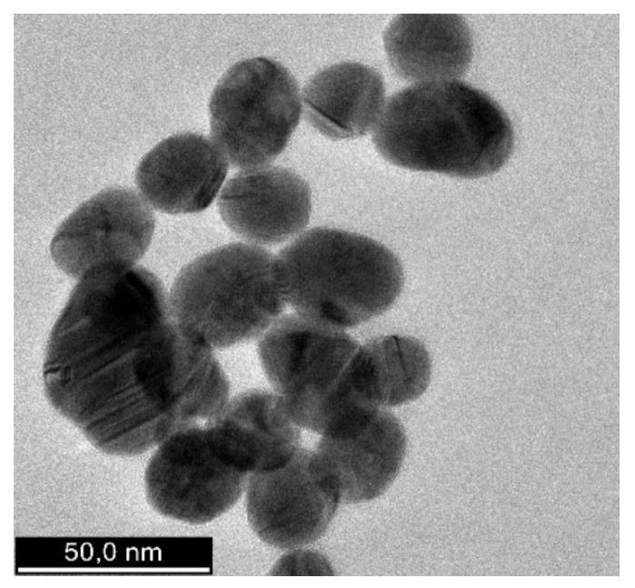https://cdn.ncbi.nlm.nih.gov/pmc/blobs/9ae3/11858835/7cda8266ddfb/polymers-17-00482-g006.jpg