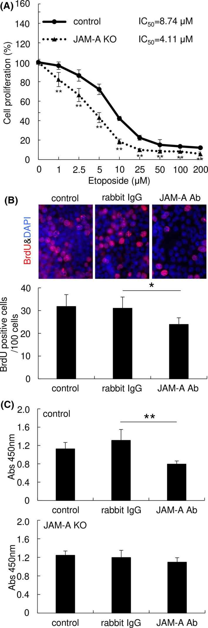https://cdn.ncbi.nlm.nih.gov/pmc/blobs/9ae3/7893988/0bcbad5f6f43/CAS-112-906-g003.jpg