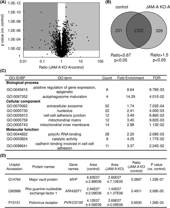 https://cdn.ncbi.nlm.nih.gov/pmc/blobs/9ae3/7893988/ea7b71eb7c22/CAS-112-906-g004.jpg