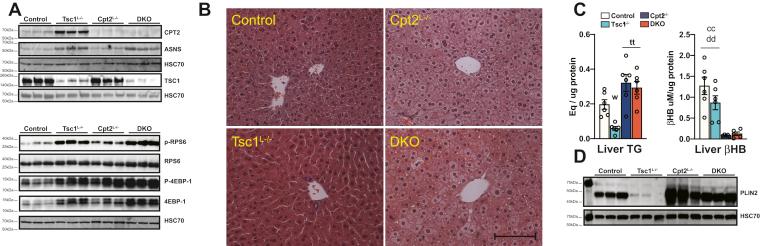 https://cdn.ncbi.nlm.nih.gov/pmc/blobs/9ae3/8294577/a1a1c6c2cd8f/gr1.jpg