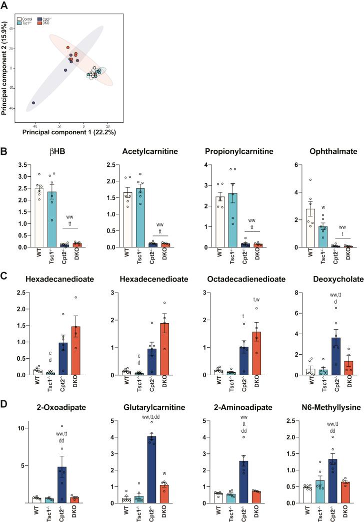 https://cdn.ncbi.nlm.nih.gov/pmc/blobs/9ae3/8294577/a8657b70d49e/gr4.jpg
