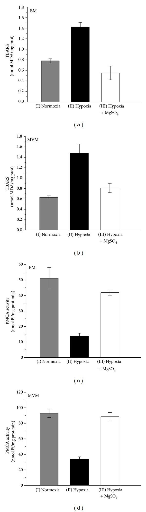 https://cdn.ncbi.nlm.nih.gov/pmc/blobs/9ae5/4142282/d02b94fd3131/BMRI2014-597357.003.jpg