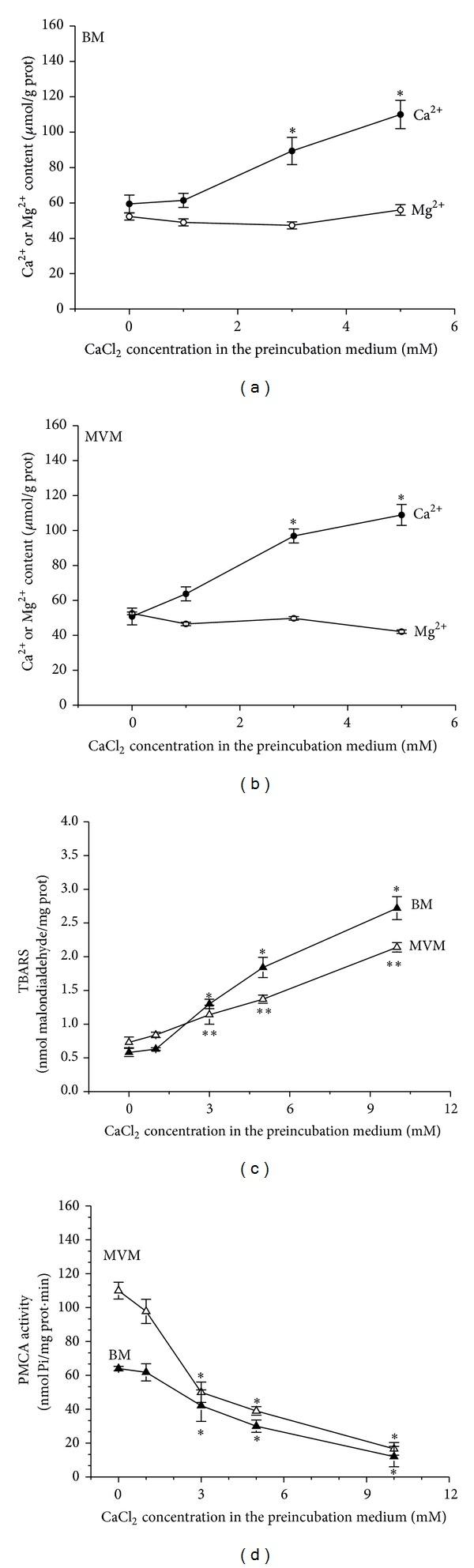 https://cdn.ncbi.nlm.nih.gov/pmc/blobs/9ae5/4142282/fe9d09352bb1/BMRI2014-597357.001.jpg