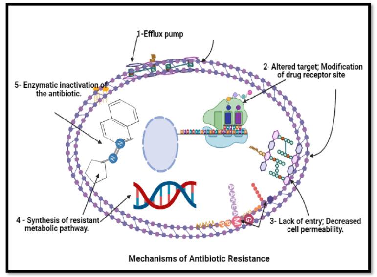 https://cdn.ncbi.nlm.nih.gov/pmc/blobs/9ae6/8347454/530e9dc8ba90/molecules-26-04504-g006.jpg