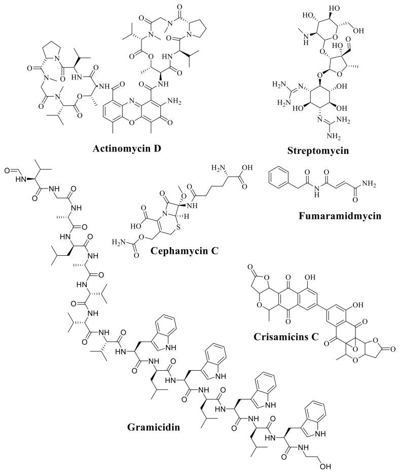 https://cdn.ncbi.nlm.nih.gov/pmc/blobs/9ae6/8347454/95a713fb7da8/molecules-26-04504-g003.jpg