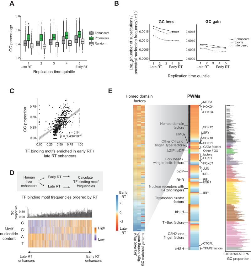 https://cdn.ncbi.nlm.nih.gov/pmc/blobs/9ae7/11043393/4aeebdf5c057/41467_2024_47391_Fig5_HTML.jpg