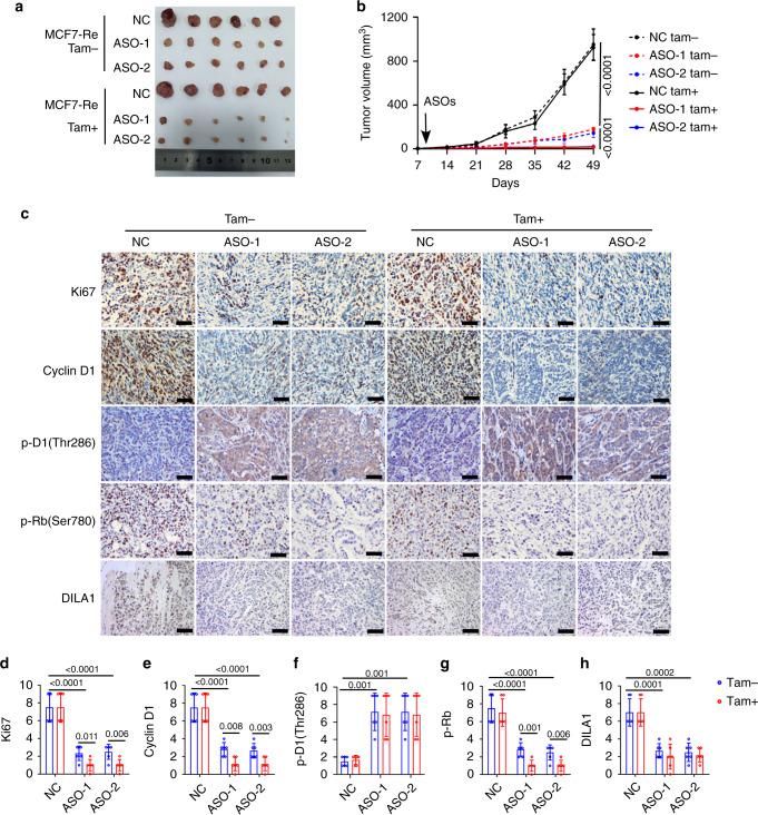 https://cdn.ncbi.nlm.nih.gov/pmc/blobs/9ae7/7608661/d96a4ff21154/41467_2020_19349_Fig5_HTML.jpg