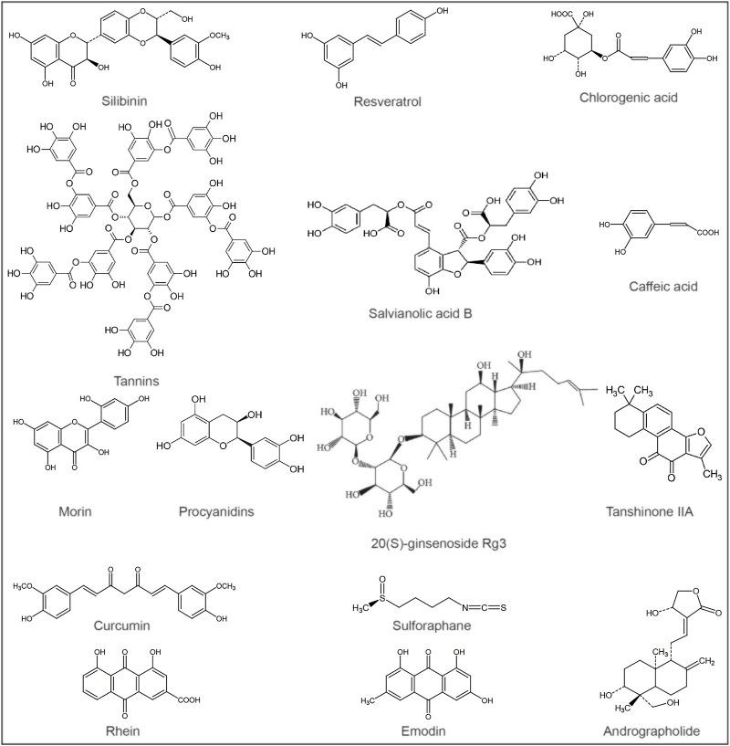 https://cdn.ncbi.nlm.nih.gov/pmc/blobs/9ae9/10083499/32d0ebe7385e/fphar-14-1122632-g002.jpg