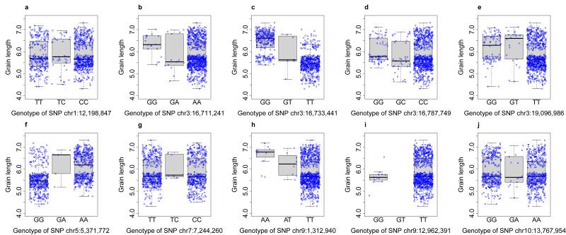 https://cdn.ncbi.nlm.nih.gov/pmc/blobs/9aec/12021685/dfcbc1848728/BioProtoc-15-8-5284-g003.jpg