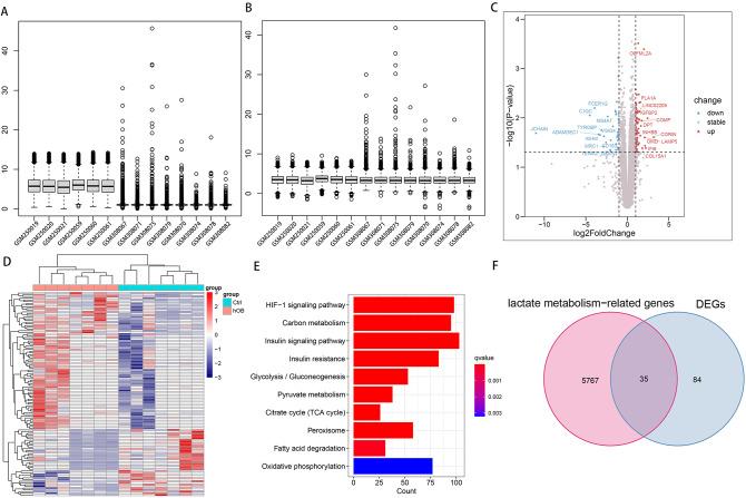 https://cdn.ncbi.nlm.nih.gov/pmc/blobs/9aed/12117746/16c89e321dc9/13018_2025_5925_Fig1_HTML.jpg