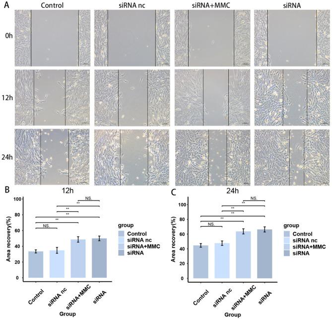 https://cdn.ncbi.nlm.nih.gov/pmc/blobs/9aed/12117746/5af2fdcd9a88/13018_2025_5925_Fig12_HTML.jpg