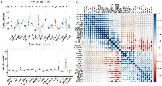 https://cdn.ncbi.nlm.nih.gov/pmc/blobs/9aed/12117746/6bb4e3d63a8c/13018_2025_5925_Fig2_HTML.jpg