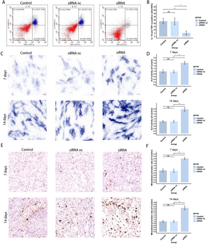 https://cdn.ncbi.nlm.nih.gov/pmc/blobs/9aed/12117746/ab01624f86a2/13018_2025_5925_Fig13_HTML.jpg