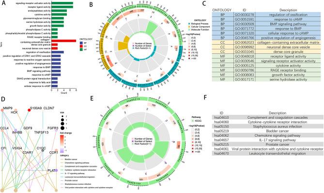 https://cdn.ncbi.nlm.nih.gov/pmc/blobs/9aed/12117746/f65b4977a742/13018_2025_5925_Fig3_HTML.jpg
