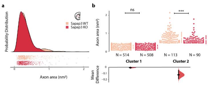 https://cdn.ncbi.nlm.nih.gov/pmc/blobs/9aed/8570333/5254be987cc4/brainsci-11-01353-g002.jpg