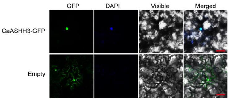 https://cdn.ncbi.nlm.nih.gov/pmc/blobs/9aed/9224371/b042df31a4ef/ijms-23-06492-g003.jpg