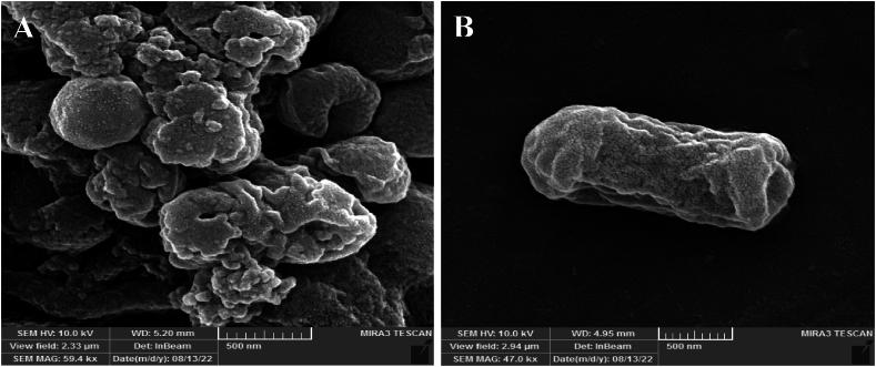 https://cdn.ncbi.nlm.nih.gov/pmc/blobs/9aee/11408792/2da7e45950ca/gr7.jpg