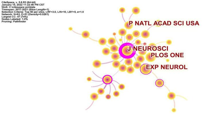 https://cdn.ncbi.nlm.nih.gov/pmc/blobs/9aef/9163812/33e4012fadde/fneur-13-872261-g0005.jpg