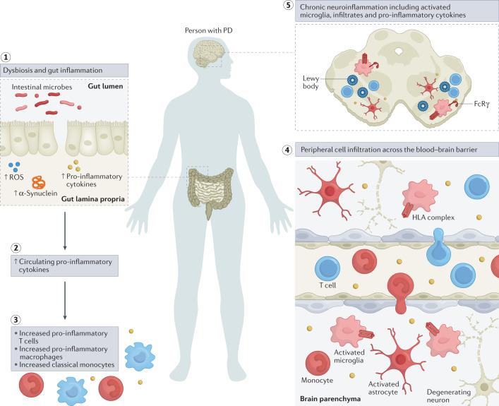 https://cdn.ncbi.nlm.nih.gov/pmc/blobs/9af0/8895080/d05397e1b07b/41577_2022_684_Fig2_HTML.jpg